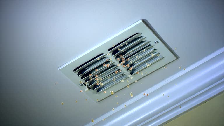 Best Air Duct Cleaning Company Near Me  in Amery, WI