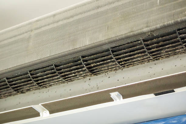 Best Residential Air Duct Cleaning  in Amery, WI