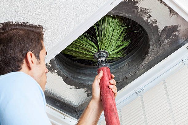 Best Local Air Duct Cleaning Services  in Amery, WI